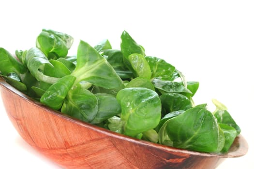 fresh corn salad in a wooden bowl on white background