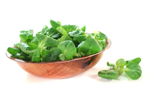 fresh corn salad in a wooden bowl on white background