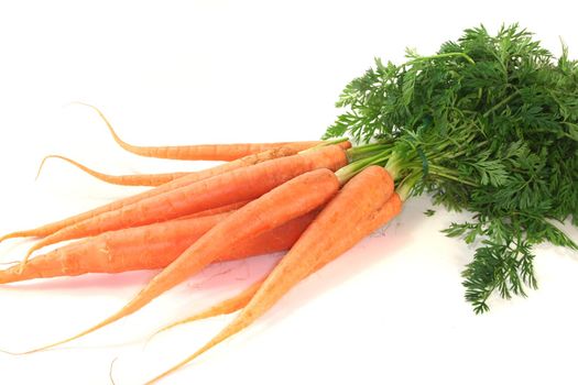 a bundle of carrots on a white background