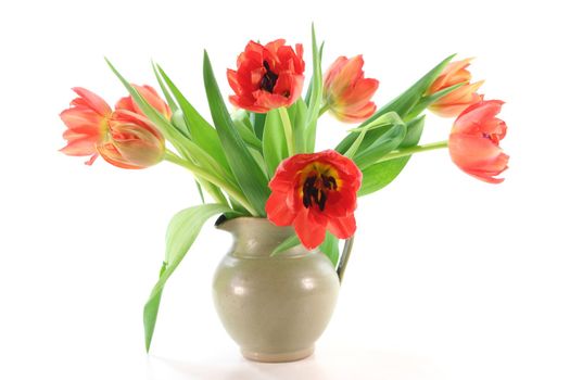 Tulips in a vase on a white background