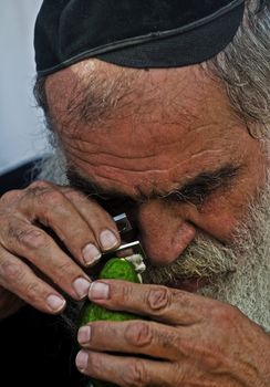 JERUSALEM - OCT 10 : An ultra-orthodox Jewish man inspects an "Etrog"   in the "Four spesies" market in Jerusalem Israel on October 10 2011 , Etrog is one of the "Four spesies"  used during the celebration of Sukot