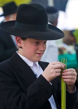 JERUSALEM - OCT 10 : An ultra-orthodox Jewish boy inspects a Lulav in the "Four spesies" market in Jerusalem Israel on October 10 2011 , Lulav is one of the "Four spesies"  used during the celebration of Sukot