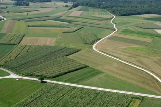 Meadows and fields. Aerial image