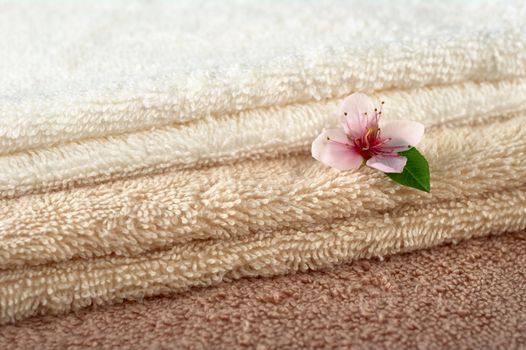 Peach blossom on white, beige and brown towels (Selective Focus, Focus on the blossom and parts of the towels)