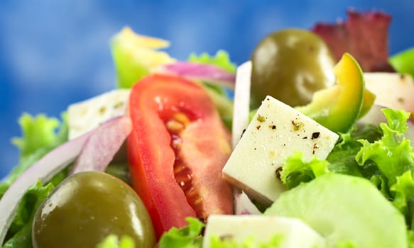 Greek salad out of cheese, green olives, tomato, green bell pepper, red onion, cucumber and lettuce with blue background (Selective Focus, Focus on the cheese) 