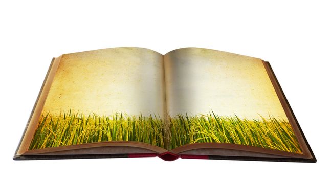 Magic book with Landscape view for your education meterial