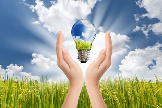 Hands saving , Global Concept of Green Energy Solutions With Light bulb and Planet on Bright Landscape