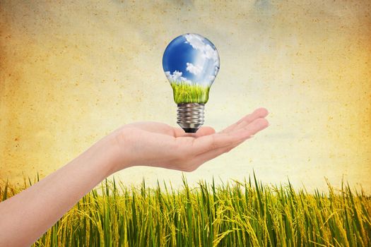 Hands saving , Global Concept of Green Energy Solutions With Light bulb and Planet on Bright Landscape