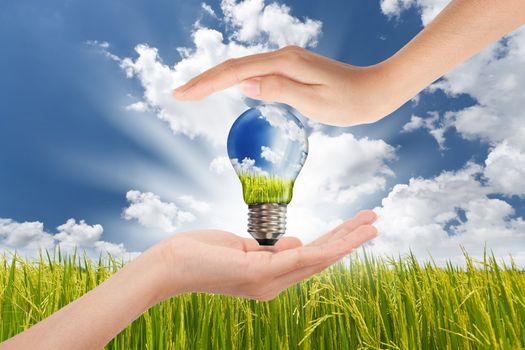 Hands saving , Global Concept of Green Energy Solutions With Light bulb and Planet on Bright Landscape