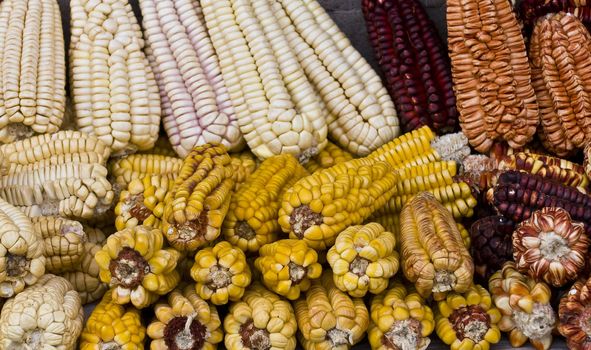 Different types of corn on a market in Peru