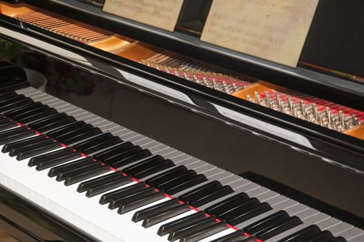 Close up view of grand piano keyboard and tuning keys.