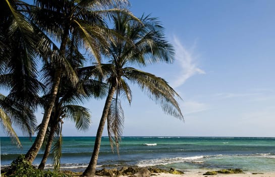 Tropical beach on the Caribbean island of San Andres , Colombia