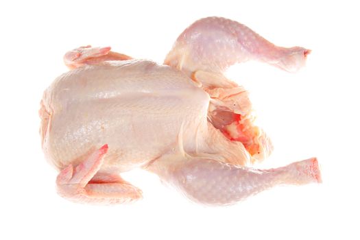 raw chicken photo on the white background