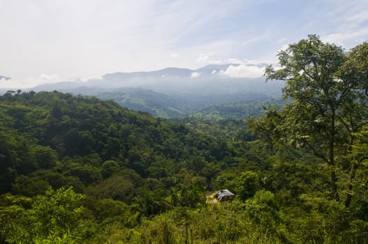 View over Colombian rain forest in "Tayrona park" 