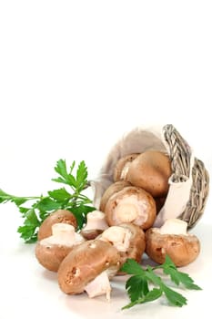 Mushrooms in a basket with parsley on a white background