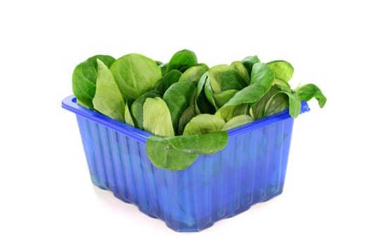 fresh corn salad in a blue bowl on white background