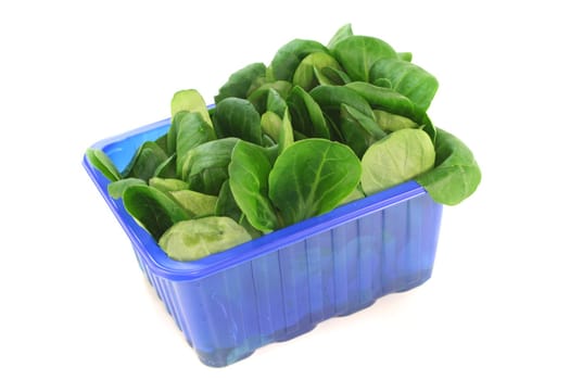 fresh corn salad in a blue bowl on white background