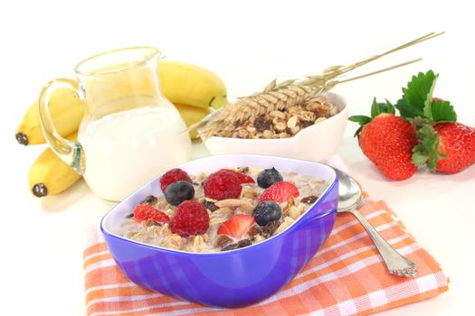 Cereal bowl with milk, fresh fruits and nuts on white background