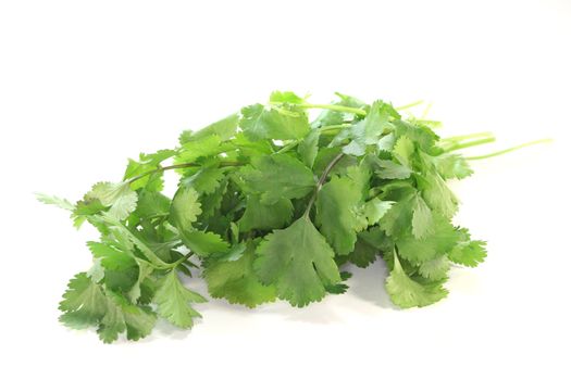 a bunch of fresh coriander on a white background