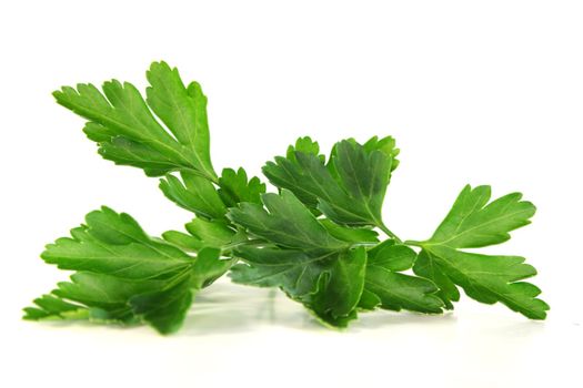 a sprig of fresh parsley on a white background