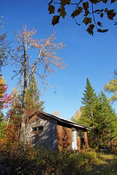 Old wood cabin deep in the forest on a bright sunny autumn day.