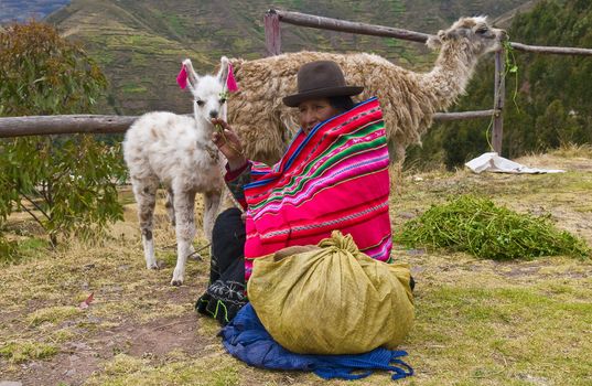 SACRED VALLEY,  PERU - MAY 27 : Unidentified Peruvian woman in traditional colorful clothes seat with here alpacas near a village in the sacred valley , Peru on May 27 2011