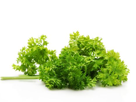 Parsley in a bundle, isolated towards white