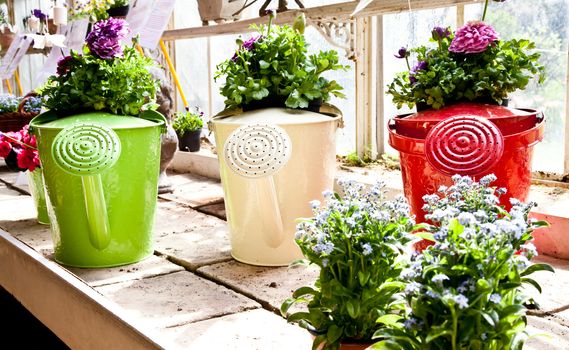 Watering cans, concept of gardening and hobby