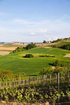 Landscape of Monferrato area in Piedmont region - Italy