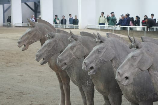 Terracotta Army Xian / Xi'an, China - Detail - horses