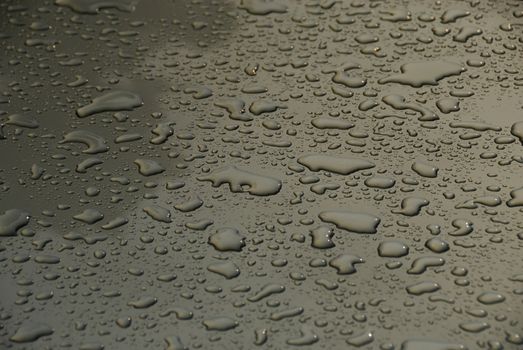 Rain drops on the top of a car hood after a rain