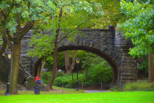 A girl reading book at a local park