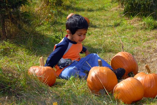 An indian kid having fun purchasing pumpkins