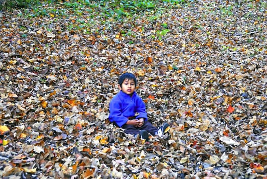 an handsome indian kid enjoying himself sitting on the fallen foliage