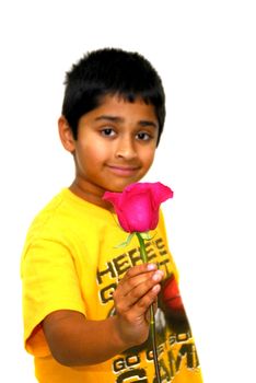Happy Indian kid holding a rose for valentine