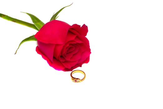 Rose and ring concept of happy valentine