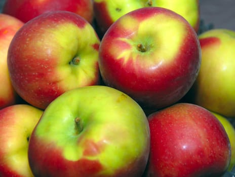 Closeup shot of Freshly harvested farm apples 