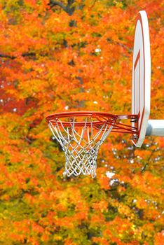 Basketball hoop against the vibrant fall colors