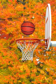 Basketball hoop against the vibrant fall colors