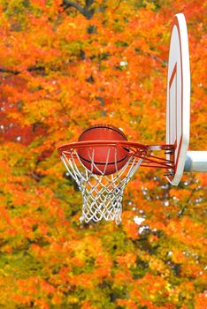 Basketball hoop against the vibrant fall colors