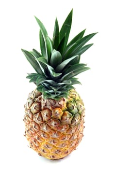 pineapple and leaves  isolated on white background fruits vegetables and agriculture concepts