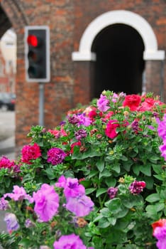 Street lights with flowers i the first plan.