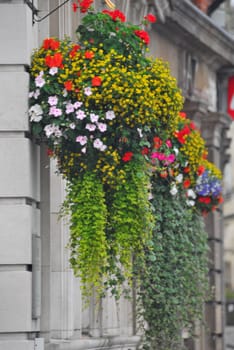 Smal market towns are often covered with flowers.