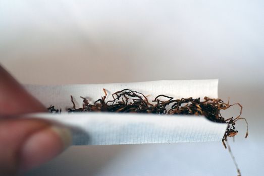 A close-up of a cigarette being rolled