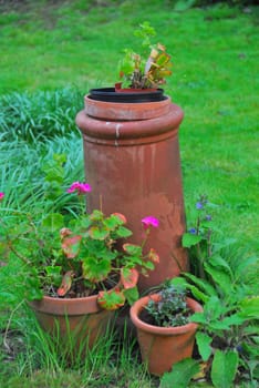 Unusual plant pots found in one of english gardens.