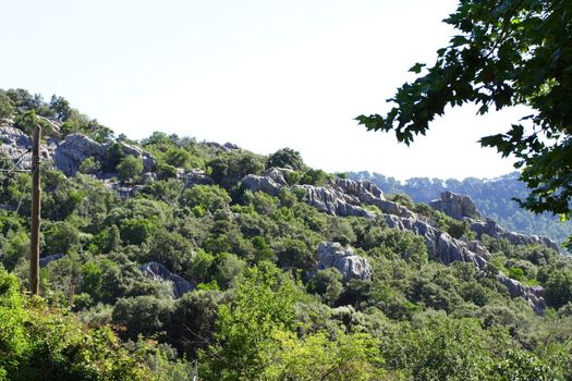 mallorca countryside