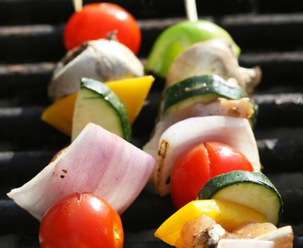 Grilling a kabob during a summer picnic at the park