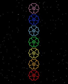 Colored flowers in chakra column by night