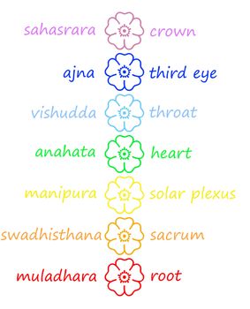 Colored flowers in chakra column with their names in white background
