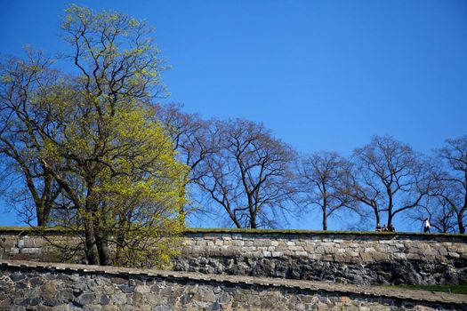 Akershus fortress in Oslo, Norway on a early spring day. A historical place as well as a popular recreational area. The image is versatile, and could illustrate a series of themes.